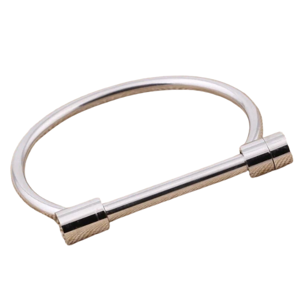 Horseshoe Bracelet